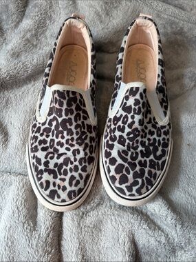 Sugar Leopard Print Slip-On Sneakers in Black and Cream